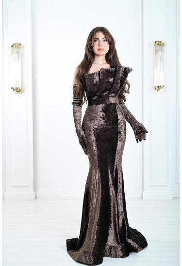 فستان راقي بقفازات طويلة 