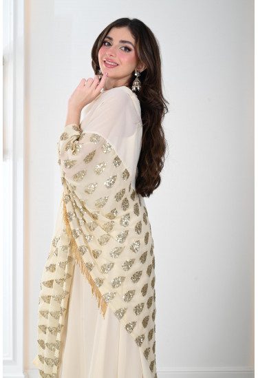 فستان نسائي نمط الساري المطرز 