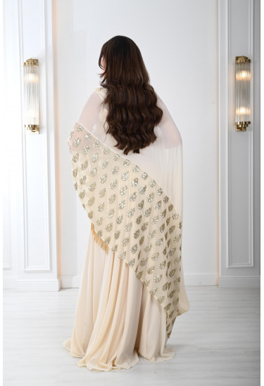 فستان نسائي نمط الساري المطرز 