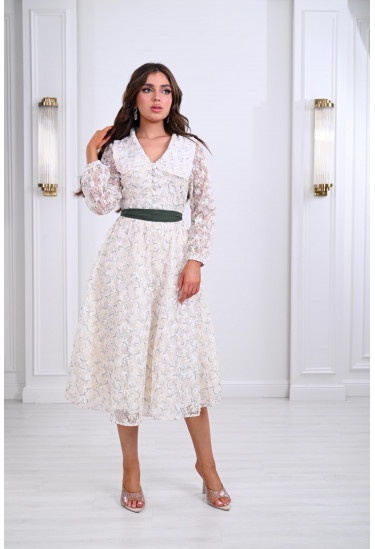 فستان ميدي بياقة أنيقة