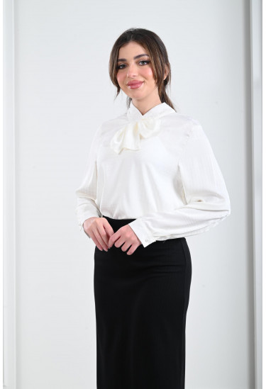 بلوزة نسائية كلاسيكية أنيقة
