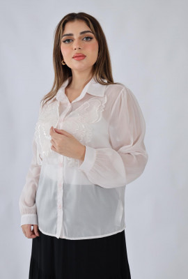 بلوزة شيفون مطرزة بياقة كلاسيكية