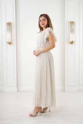 فستان فخم بليسيه بتصميم كلاسيكي فستان فخم بليسيه بتصميم كلاسيكي